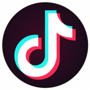 TikTok Logo
