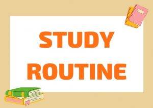 daily language study routine
