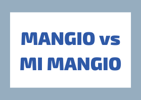 I Verbi Transitivi con i Pronomi Riflessivi: Guida all’Uso Pronominale Affettivo